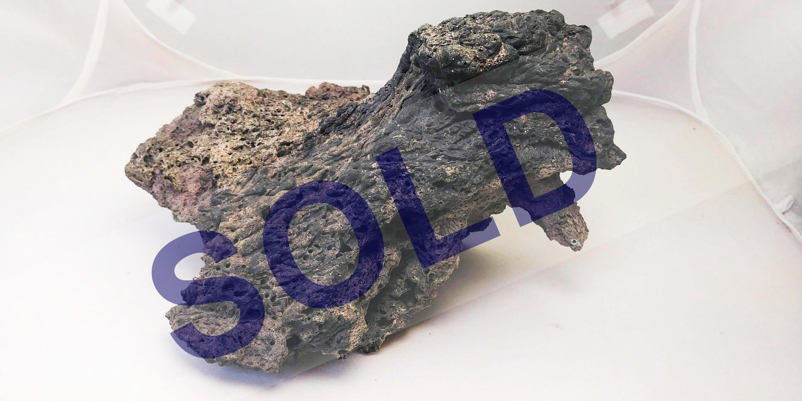 2-1-XL-E-SOLD