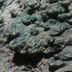 MIN0000393_4-1024x512